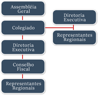 organograma funcional